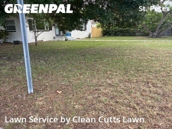Yard Cutting nearby St. Petersburg, FL, 