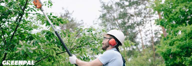 5 Landscaping Services Companies Are Dropping (And Why It Matters for Your Business)