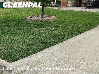 Grass Cut nearby Harker Heights, TX, 