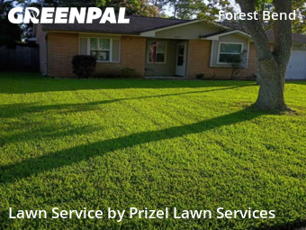 Yard Cuttingin Friendswood,77546,Yard Cutting by Prizel Lawn Services, work completed in Nov , 2025