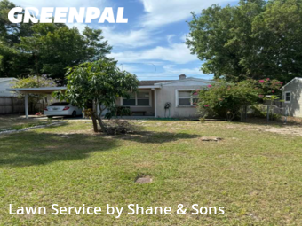 Lawn Care Service nearby St. Petersburg, FL, 