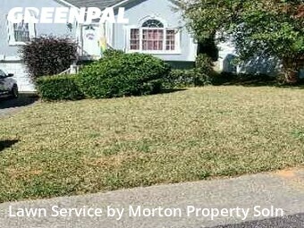 Lawn Mow nearby Acworth, GA, 
