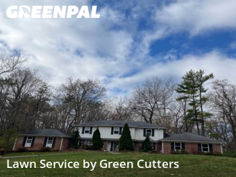 Lawn Mow nearby Zionsville, IN, 