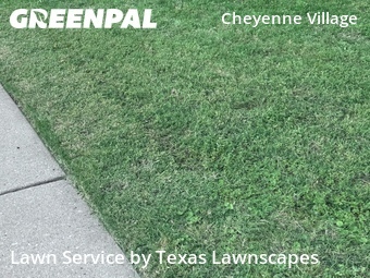 Yard Cutting nearby Frisco, TX, 
