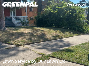 Yard Cutting nearby Cincinnati, OH, 