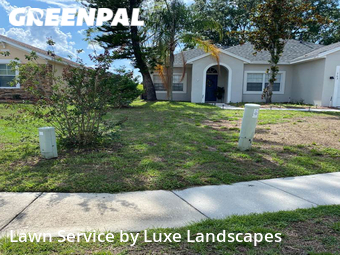 Grass Cut nearby Davenport, FL, 