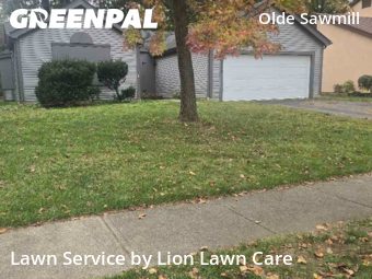 Lawn Mowing Service nearby Dublin, OH, 