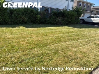 Lawn Maintenance nearby Union, NJ, 