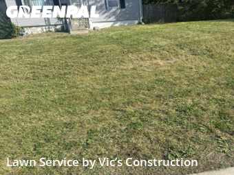 Yard Cuttingin Joliet,60433,Lawn Cutting by Vic’s Construction , work completed in Nov , 2025
