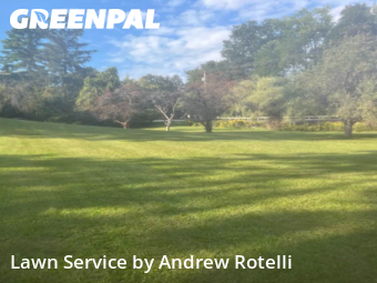 Lawn Cutting nearby Baldwinsville, NY, 