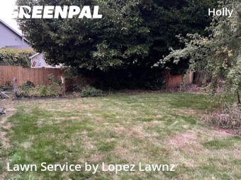 Lawn Mow nearby Everett, WA, 