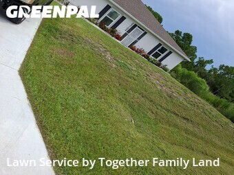 Grass Cut nearby Port Charlotte, FL, 