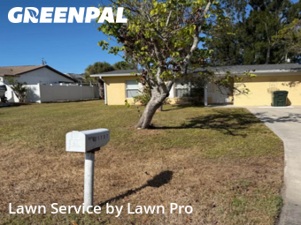 Lawn Maintenance in Venice, 34285, Garden Trimming by Lawn Pro, work completed in Dec , 2025