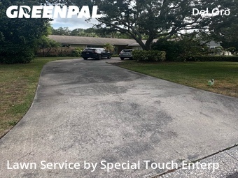 Lawn Cut nearby Clearwater, FL, 