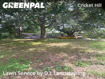 Grass Cutting nearby Spring, TX, 