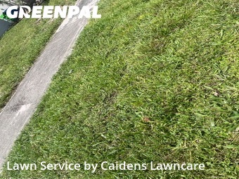Grass Cut nearby Sunrise, FL, 