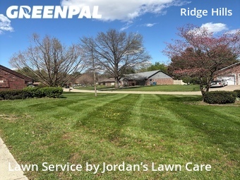 Grass Cut nearby Indianapolis, IN, 