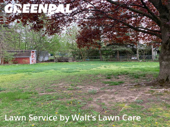 Lawn Care nearby Grand Rapids, MI, 