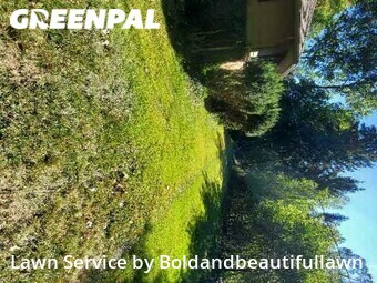 Lawn Maintenance nearby Bloomfield Hills, MI, 