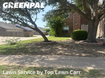 Lawn Mowing nearby Grand Prairie, TX, 