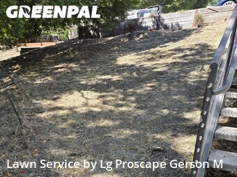 Lawn Cut nearby Emerald Hills, CA, 