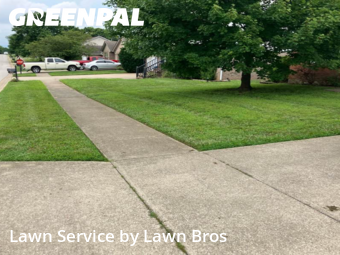 Lawn Cutting nearby Shelbyville, KY, 