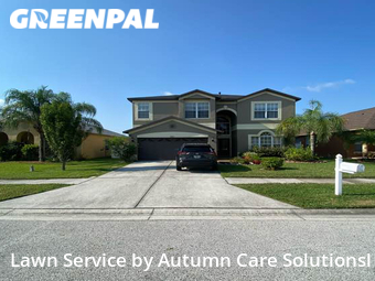 Lawn Mow nearby Tampa, FL, 