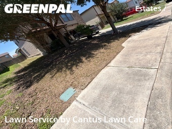 Grass Cut nearby San Antonio, TX, 