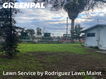 Work completed by local-lawn-care-services-in-Tulare-CA