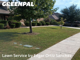 Lawn Care Servicein Wylie,75098,Grass Cut by Edgar Ortiz Sanchez, work completed in Nov , 2025