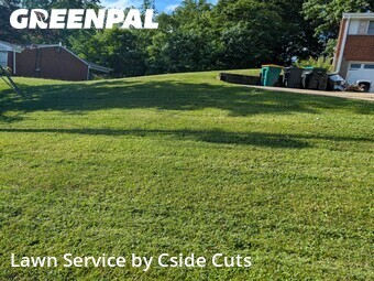 Grass Cutting nearby Gibsonia, PA, 