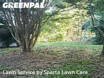 Grass Cut nearby Douglasville, GA, 