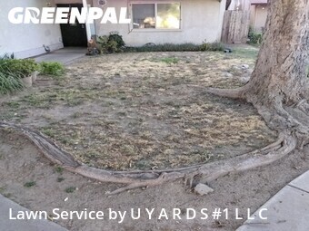 Lawn Care Service nearby Modesto, CA, 