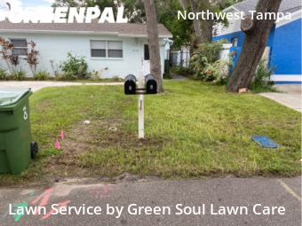 Lawn Maintenance nearby Tampa, FL, 