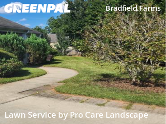 Lawn Care nearby Charlotte, NC, 
