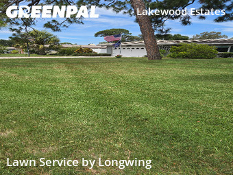 Lawn Maintenance nearby Saint Petersburg, FL, 