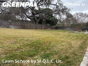 Lawn Cutting nearby San Antonio, TX, 