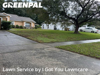 Lawn Care Service nearby Clermont, FL, 