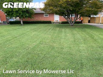 Yard Cutting nearby Louisville, KY, 