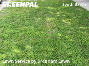 Lawn Cutting nearby Baton Rouge, LA, 