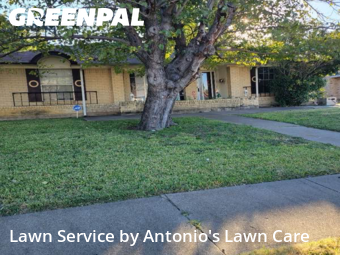 Lawn Cuttingin Irving,75062,Lawn Mow by Antonio's Lawn Care, work completed in Dec , 2025