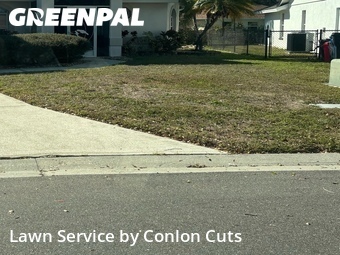 Yard Cutting nearby Bradenton, FL, 