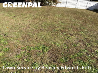 Yard Cutting nearby Raleigh, NC, 