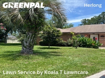 Lawn Care nearby Jacksonville, FL, 