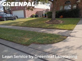 Lawn Care Servicein Pearland,77584,Lawn Care by Greenleaf Lanscaping, work completed in Dec , 2025