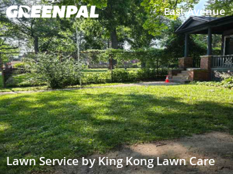 Yard Cutting nearby Rochester, NY, 