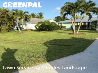 Grass Cut nearby Port St. Lucie, FL, 