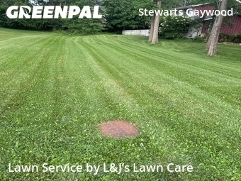 Lawn Maintenance nearby Brookfield, WI, 
