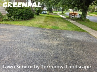 Yard Care Services in Woodridge, 60517, Yard Cutting by Terranova Landscape, work completed in Nov , 2025