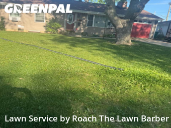 Grass Cut nearby Joliet, IL, 